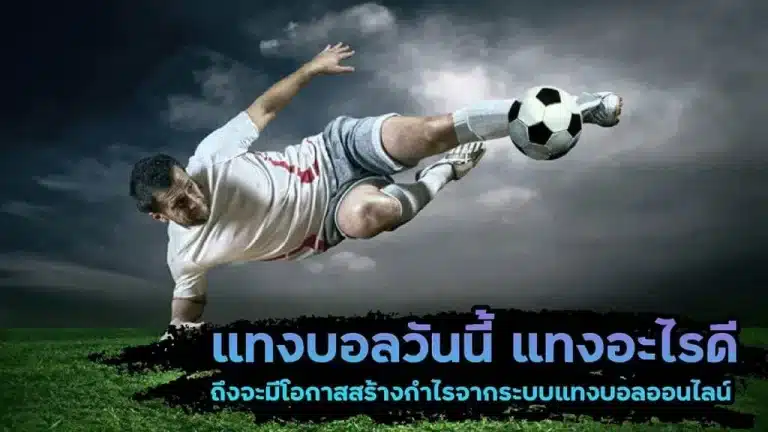 เว็บแทงบอล วันนี้